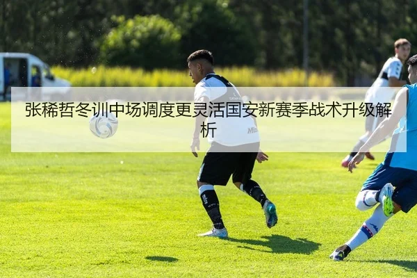 张稀哲冬训中场调度更灵活国安新赛季战术升级解析